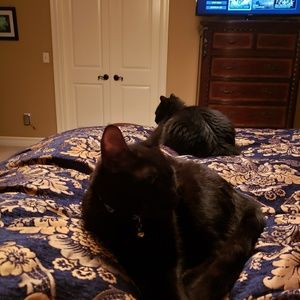 Meet your Posher, Lisa